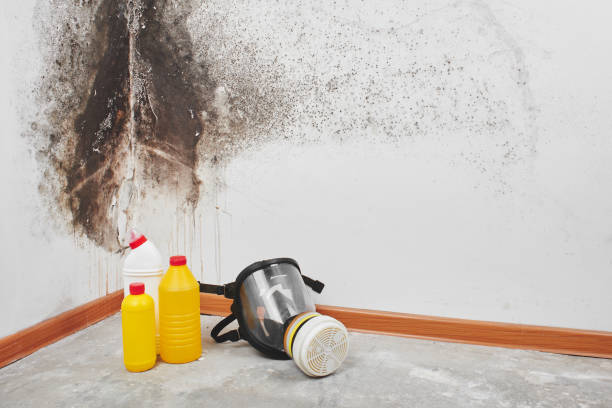 Best HVAC Mold Remediation in Pendleton, OR