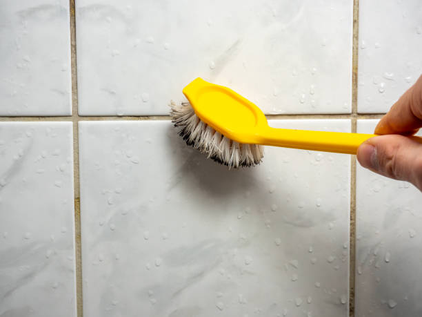 Best Mold Testing and Inspection Services in Pendleton, OR