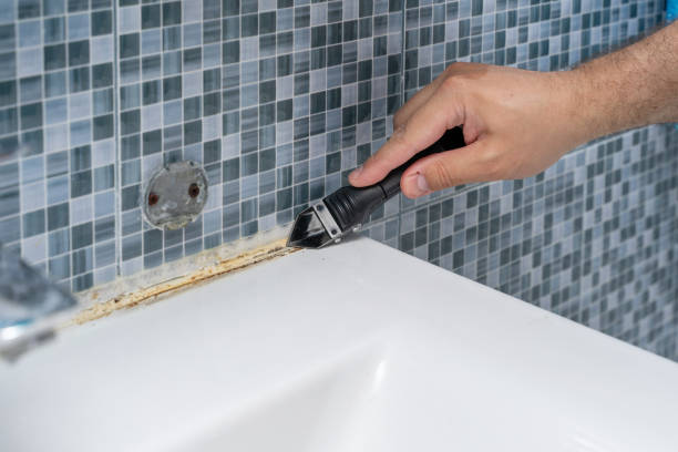 Best Mold Remediation for Schools in Pendleton, OR