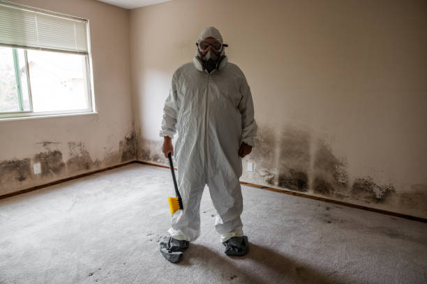 Best DIY Mold Remediation Support Services in Pendleton, OR